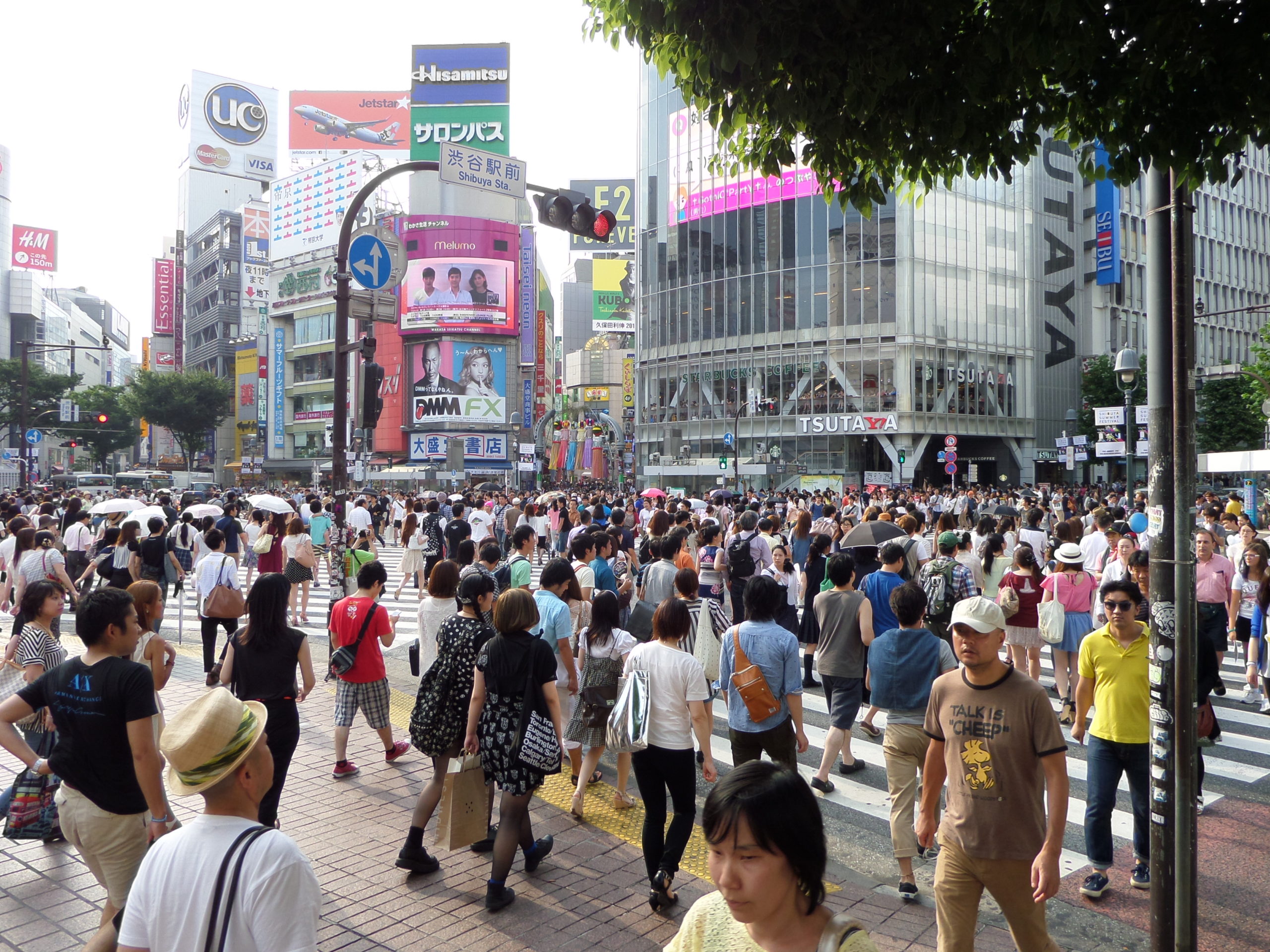 Lights, Camera and Noise!