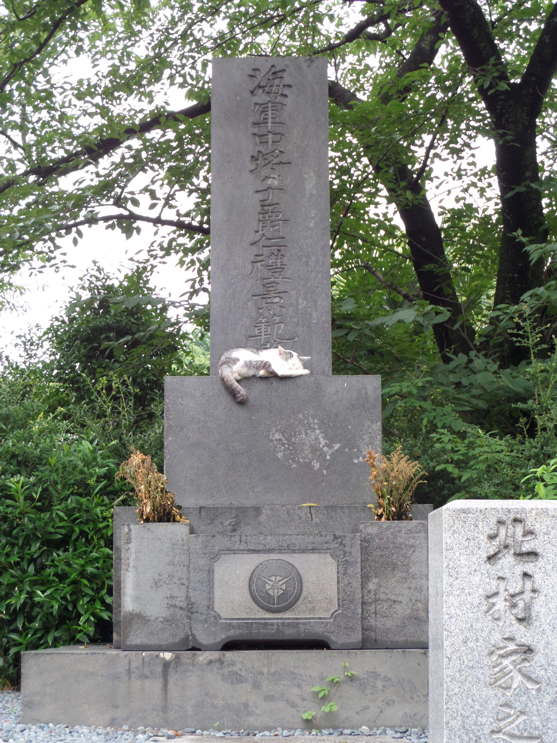 A day of questionables!