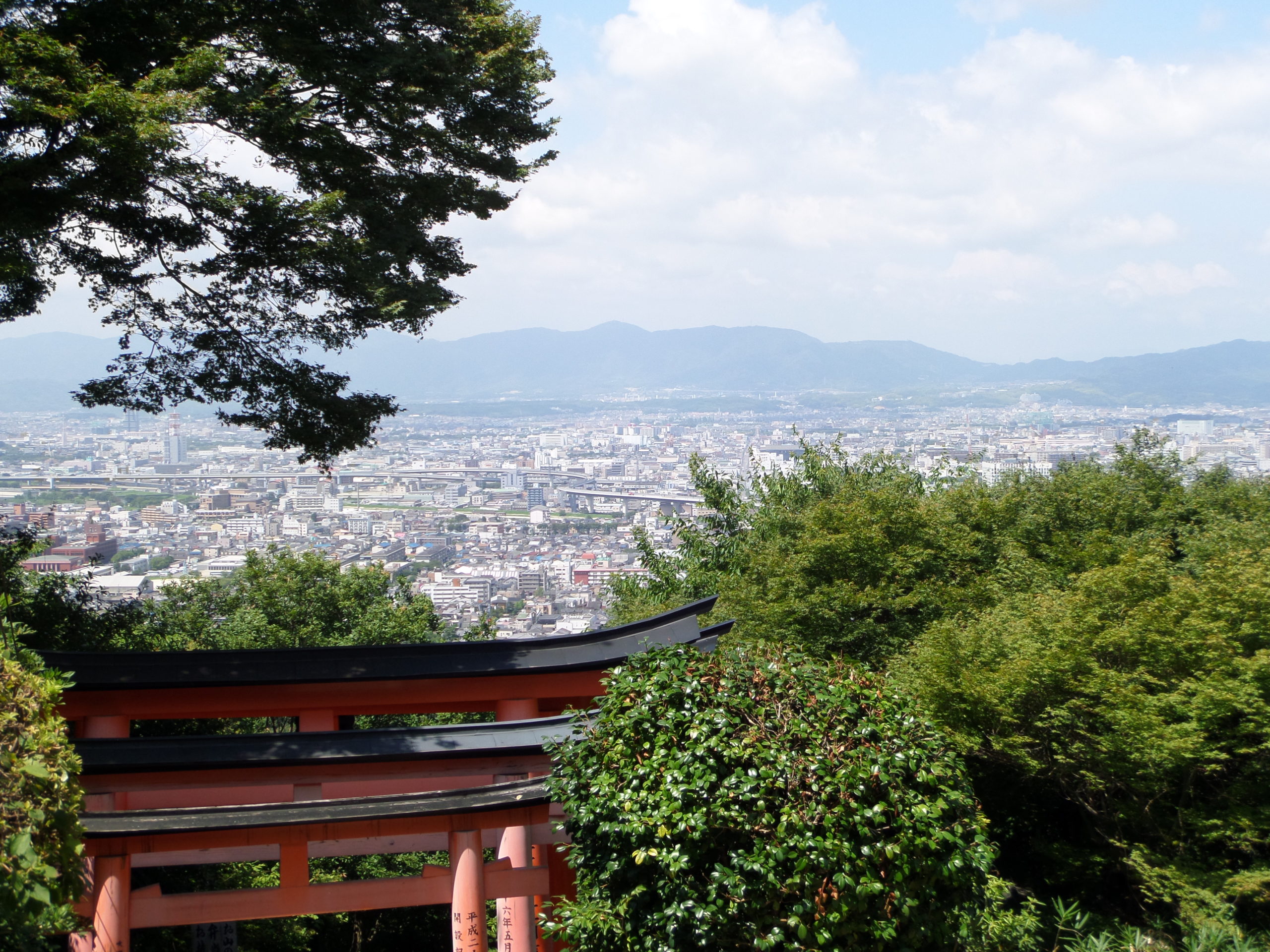 10000-torii-wakeup-call