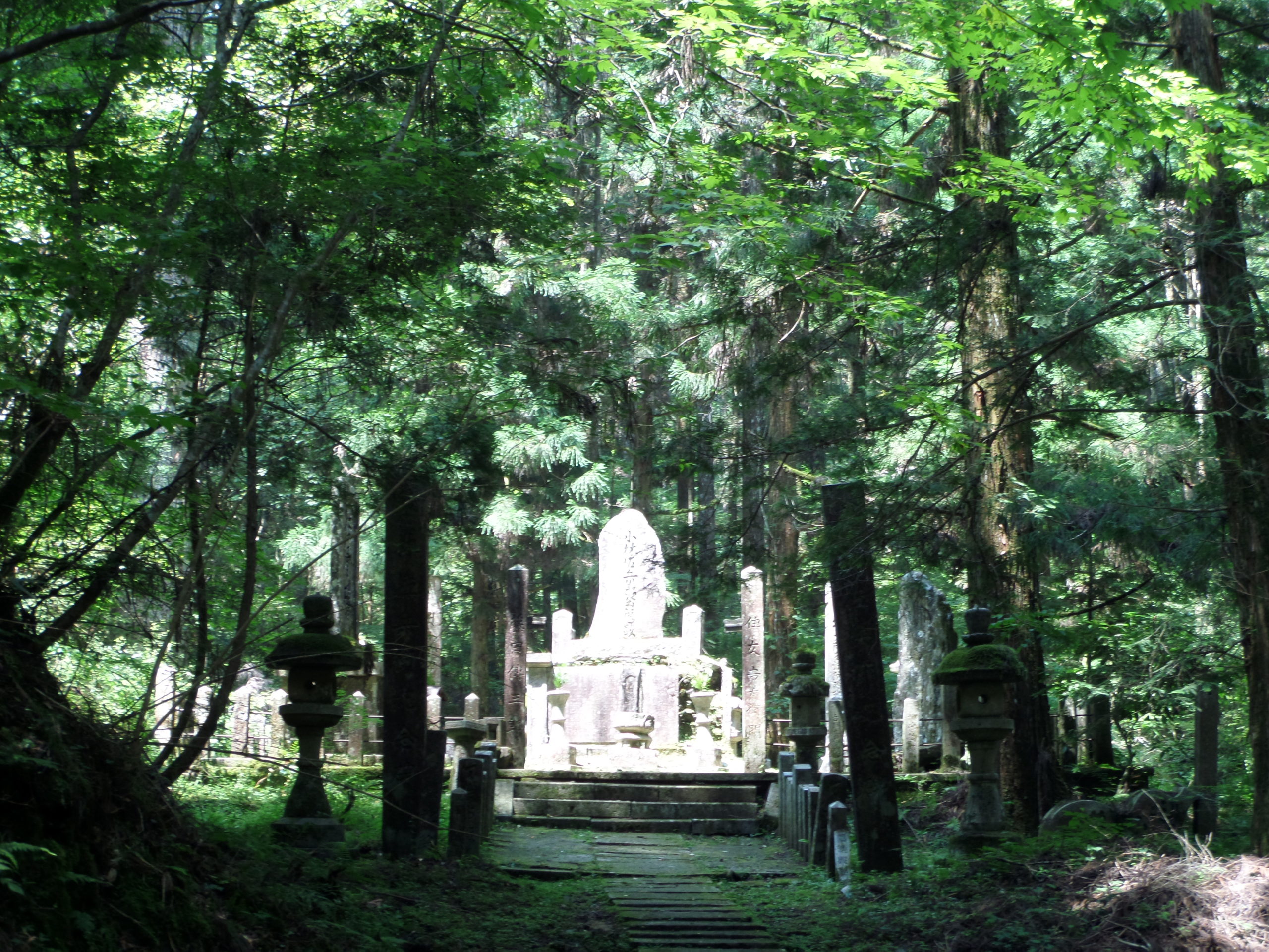 Mystical mountain top.
