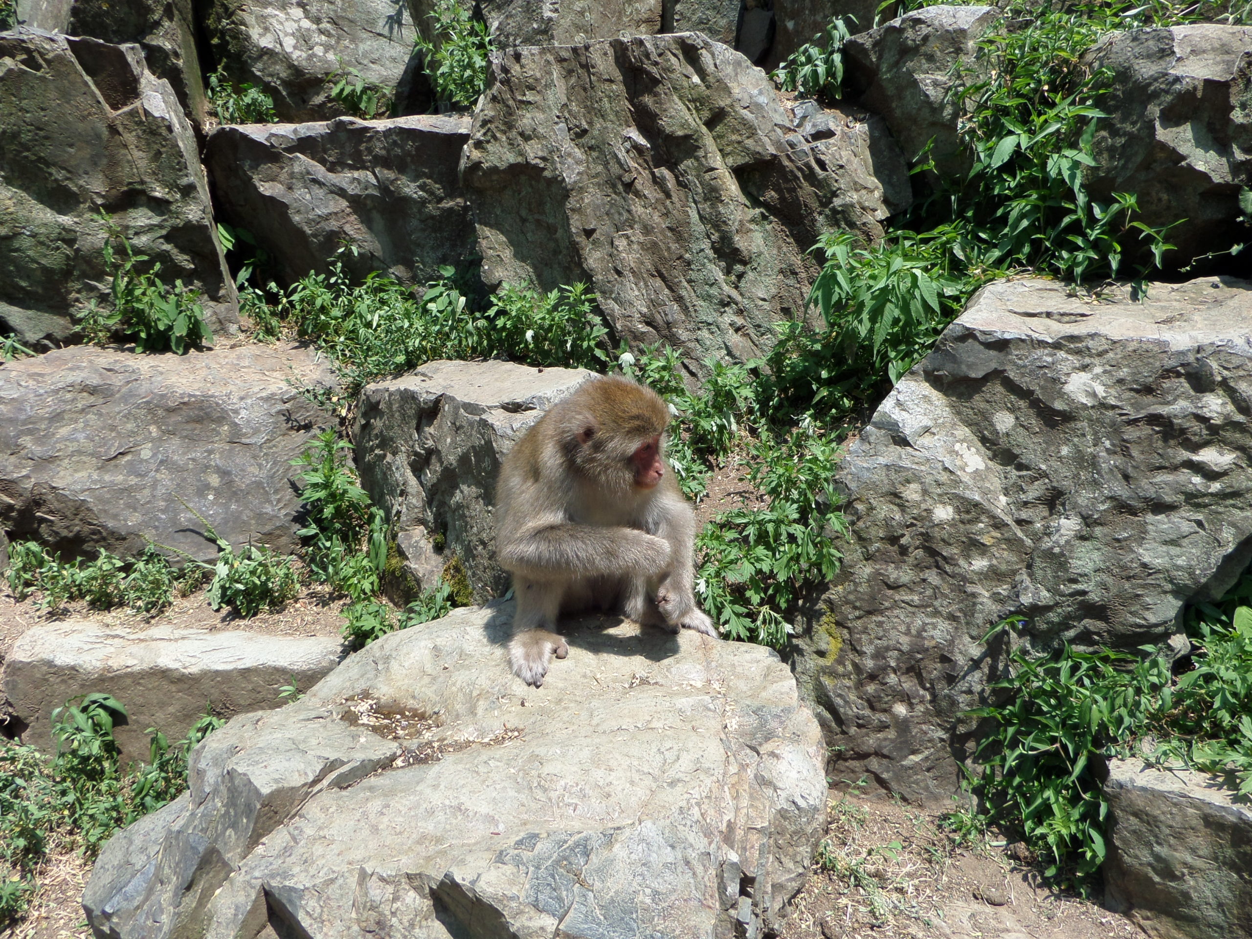 Nagano, a friendly place.